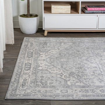 Jerica modern Persian Vintage Medallion Area Rug